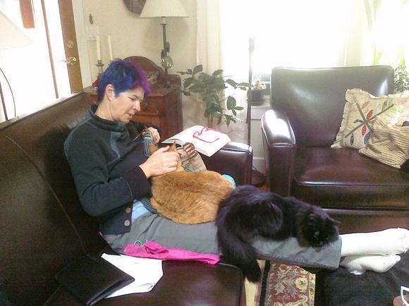 CIMG0014.jpg CIMG0014.jpg